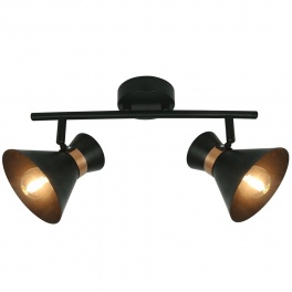 Спот Arte lamp Baltimore